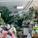 플라워봄 이미지