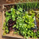 서수원농자재마트 이미지