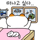 황포차 네이버블로그