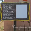 전의재래시장 | 2026 세종 전의 조경수 묘목 축제 일정, 주차, 볼거리 총정리