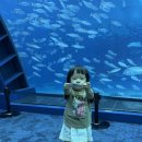 (주)룩포레스트 이미지