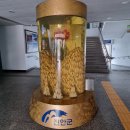 진안군청 화장실 이미지