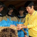 꿀벌체험장 이미지