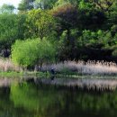 문촌3리 이미지