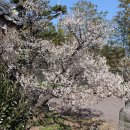 매화2공원 이미지