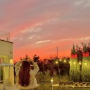 아이데코 김제요촌점 | 전주 근교 대형 카페 추천 크리스마스 연말 분위기 김제오늘여기