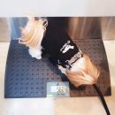 청담눈초롱안과동물병원 이미지