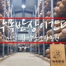 호박컨설팅