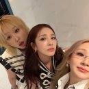 박**