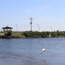 송당승마장 이미지