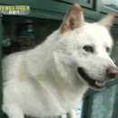 창원제2농장 이미지