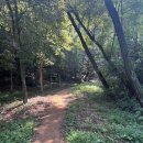 뷰티풀한방병원 이미지