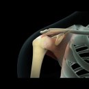 PT의 정석 운동재활센터 이미지