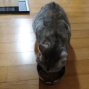 울진동물병원 이미지