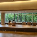 티스테이숀 울산선암점 | 울산 언양 카페 지관서가 유니스트 울주군 북카페 추천 (주차정보)