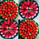 (주)리드 이미지