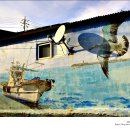 읍천1리 이미지