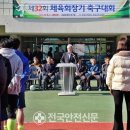 영양군 생활체육공원 축구장 네이버블로그