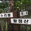 용미사두(용꼬리 보다 뱀머리).. 충북단양 황정산(959m) 이미지