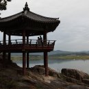 달맞이로 이미지