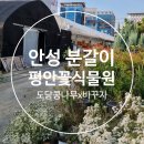 평안꽃식물원 이미지