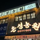 쌈428 | 을지로 맛집 | 삼겹살부터 한우까지 다 맛있는 레트로 감성 은성농원 내돈내산 솔직후기