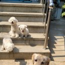 개스트하우스 이미지