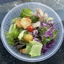 고봉로-1L | 바디프로필 준비는 이렇게 식단, 운동 / 눈바디 변화 과정 / 장단점