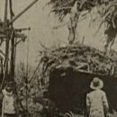 상선농장 이미지