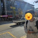 스텔라솔라에너지 | 팅. 뻐. 똥?