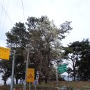 황토장여관 이미지