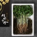 빛고을농장 이미지