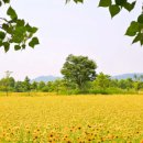 낙동강체육공원 자전거대여소 화장실 이미지