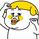 너구리공조
