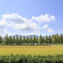 곡성-063 이미지