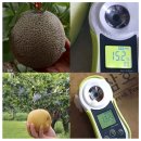 모두싹친환경농자재 이미지