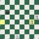 체크메이트 룩 이미지