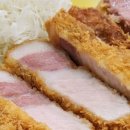 카츠올로지