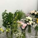 땅트플레르