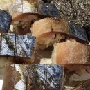 (주)블루버드시스템 이미지