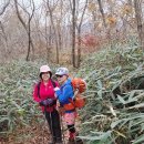 ＜제1,333차＞♡부산 뿌리산악회 산행 가이드 공지--전북 순창군. 강천산 왕자봉(854m)2024.11.10. 이미지