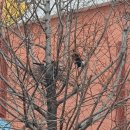 약동안양 이미지