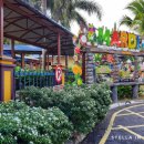 베틀농장 이미지