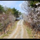 인삼전시관 이미지