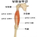 에스짐 네이버블로그