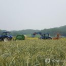 충북낙농업협동조합 이미지