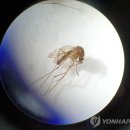 빨간집 - 하동군 악양서로 326 | 빨간집