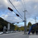 낙지이야기대명점 | ㅣ 용인 한국외대 글로벌캠퍼스 명수당 방문 후기 : 202511월초 단풍정도, 주차 추천, 근처 맛집...