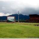 순천만의 추억 이미지