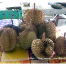 인애농장 이미지